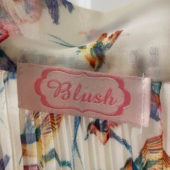 Blush Cream Hummingbird Pleated Silk Top - Picture 6 of 7